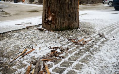 Avoiding Fixed Obstacles