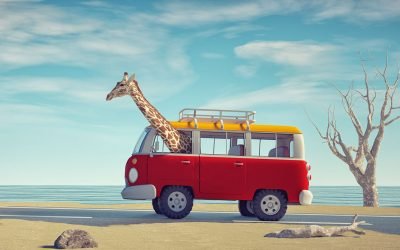 Uncovering Bizarre Traffic Laws