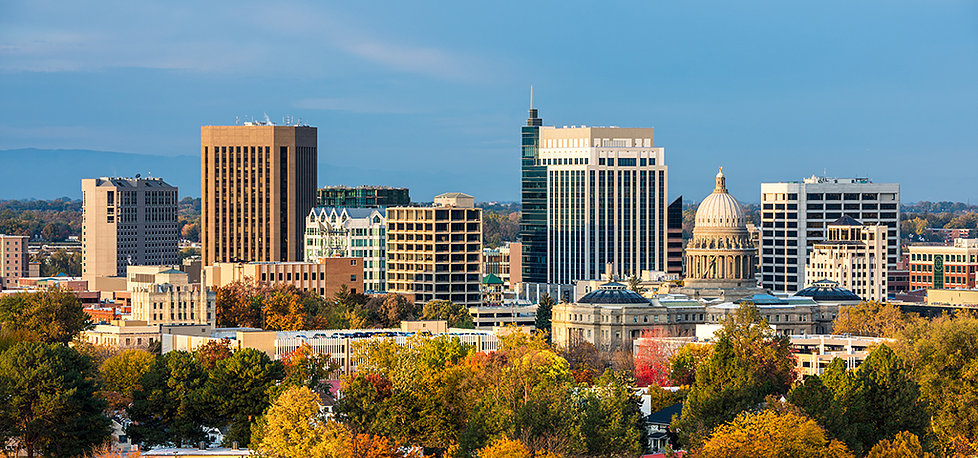 DriveSafe Online® Course Approved by State of Idaho