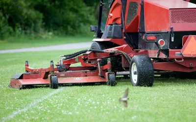 Cultivating Safety: Why Driver Training is Essential for Lawn and Garden Companies