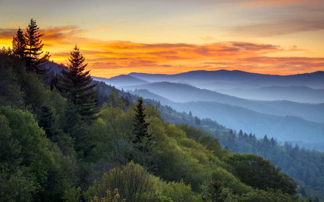 Tennessee DMV Sets COVID-19 Guidelines