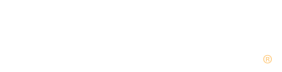 DriveSafe Online®